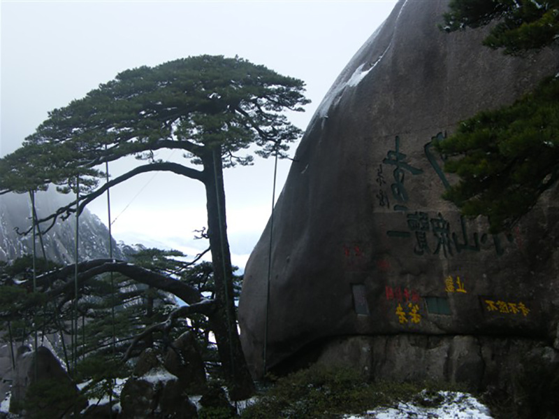 2009年3月份集团工会组织全体员工外出旅游活动8.jpg